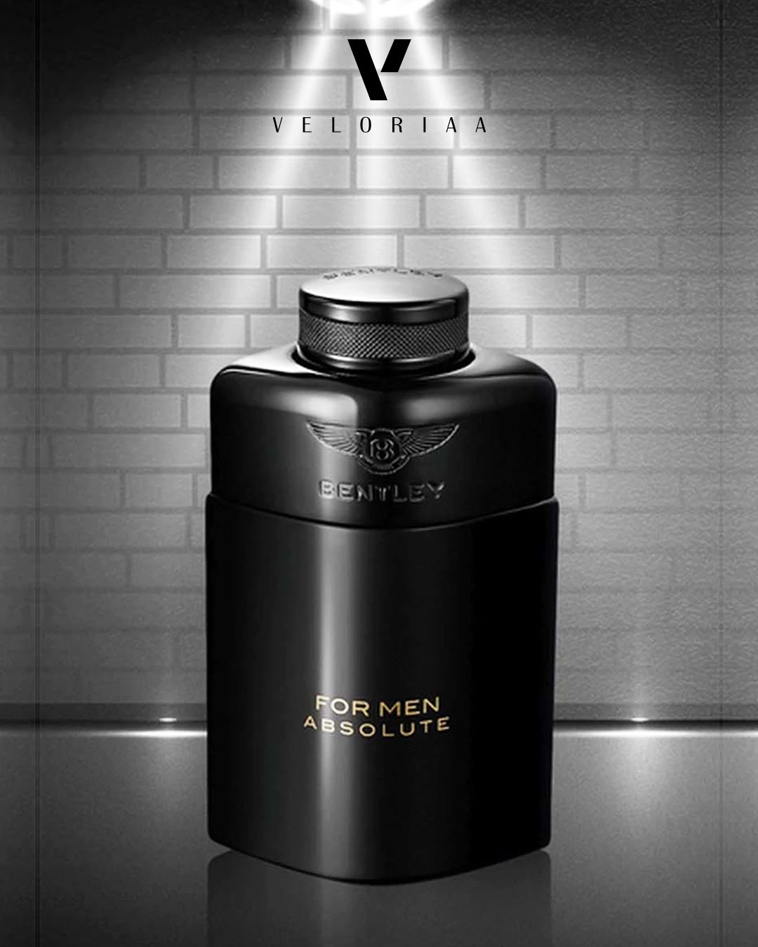 Bentley For Men Absolute EDP 100ml