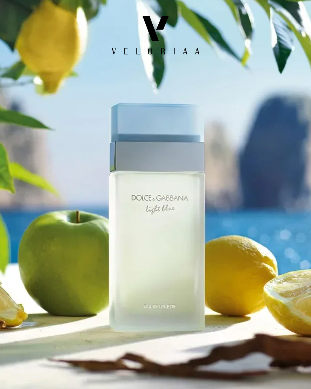 Dolce & Gabbana Light Blue EDT 100ml (Women)