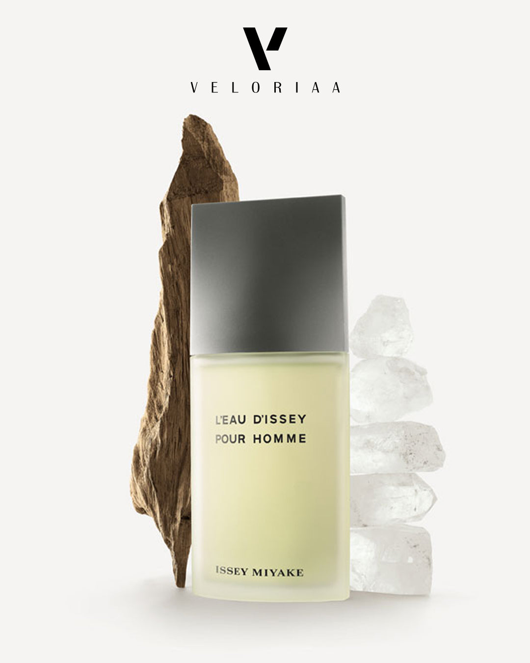 Issey Miyake L Eau D Issey Pour Homme Vetiver Edt Intense 100ml