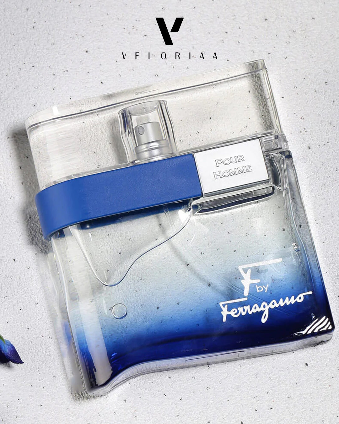 Salvatore Ferragamo F Free Time EDT 100ml (Men)