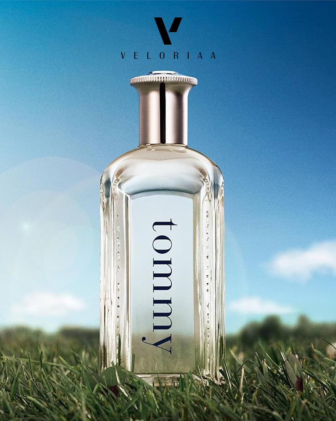 Tommy Men EDT 100ml